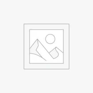 DongFeng
